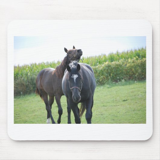 Pferdeliebhaber Mousepad (Vorne)