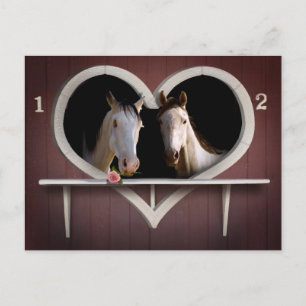 Pferdeliebhaber Postkarte
