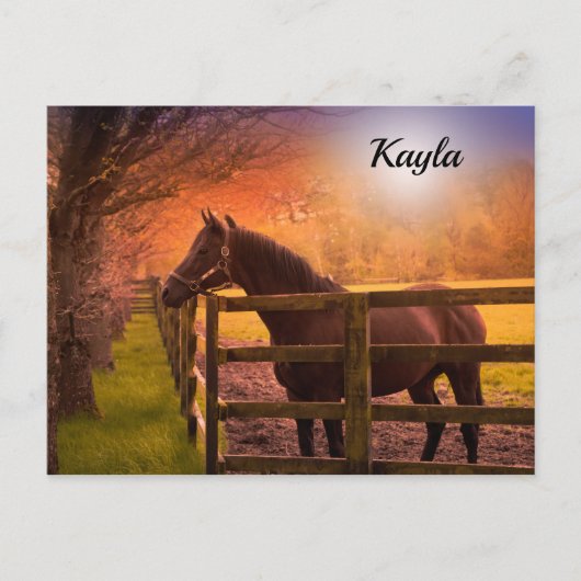Pferdemädchen Postkarte (Vorderseite)
