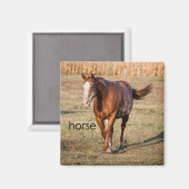 Pferdemagnet Kühlschrank Magnet (Vorderseite/Rückseite)