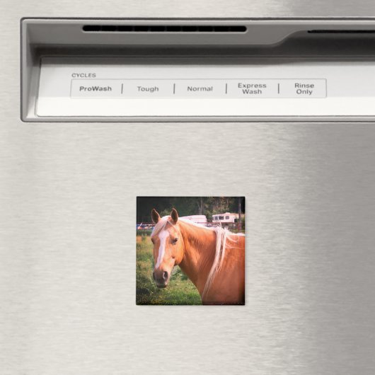 Pferdemagnet Magnet (In Situ (Geschirrspüler))