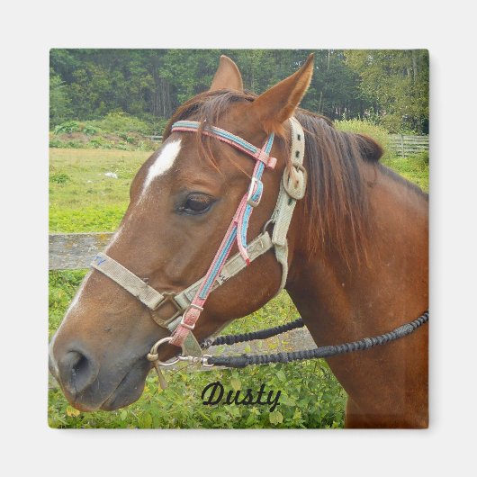 Pferdemagnet Magnet (Vorne)