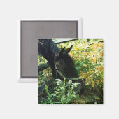 Pferdemagnet Magnet (Vorderseite/Rückseite)