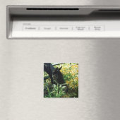 Pferdemagnet Magnet (In Situ (Geschirrspüler))