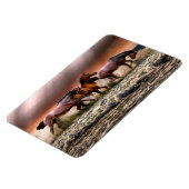 Pferdemagnet Magnet (Linke Seite)