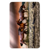 Pferdemagnet Magnet (Vertikal)