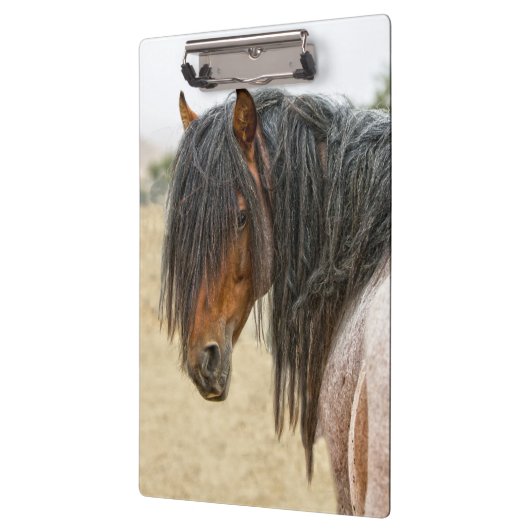 Pferdemähne Klemmbrett (Links)
