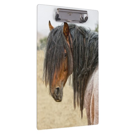 Pferdemähne Klemmbrett (Rechts)