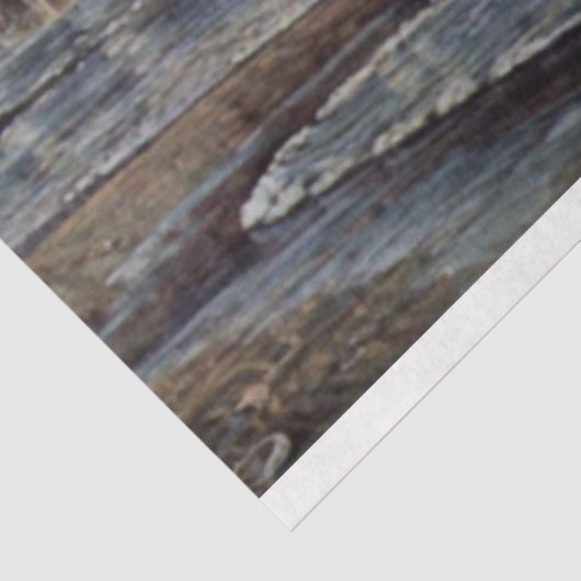 Pferdemalpapier Seidenpapier (Ausschnitt)