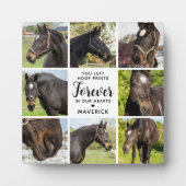 PferdeMemorial Personalisiert 8 Pet Foto Collage Fotoplatte (Vorderseite)