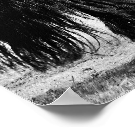 Pferdemodellierung Poster (Ecke)