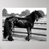 Pferdemodellierung Poster (Vorne)