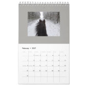 PFERDEmonatsplanungs-KALENDER Kalender (Feb 2027)