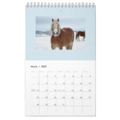PFERDEmonatsplanungs-KALENDER Kalender (Mär 2027)