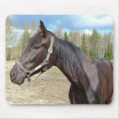 Pferdemousepad Mousepad (Vorne)