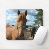 Pferdemuschel Mousepad (Mit Mouse)
