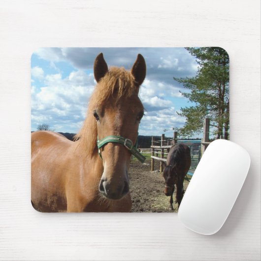 Pferdemuschel Mousepad (Mit Mouse)