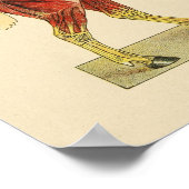 Pferdemuskelanatomie Vintag 1917 Poster (Ecke)