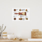 Pferdemuskeln Viscera Anatomie Poster Chart (Küche)