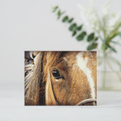 Pferdenahes hohes postkarte (Stehend Vorderseite)