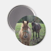 Pferdenmagnet Magnet (Vorderseite/Rückseite)