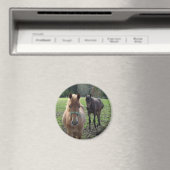 Pferdenmagnet Magnet (In Situ (Geschirrspüler))