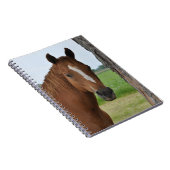 PferdeNotebook Notizblock (Rechte Seite)