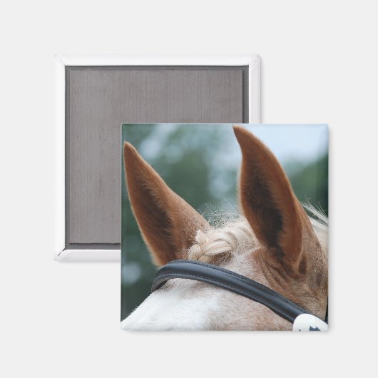 Pferdeohren Magnet (Vorderseite/Rückseite)