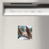 Pferdeohren Magnet (In Situ (Geschirrspüler))