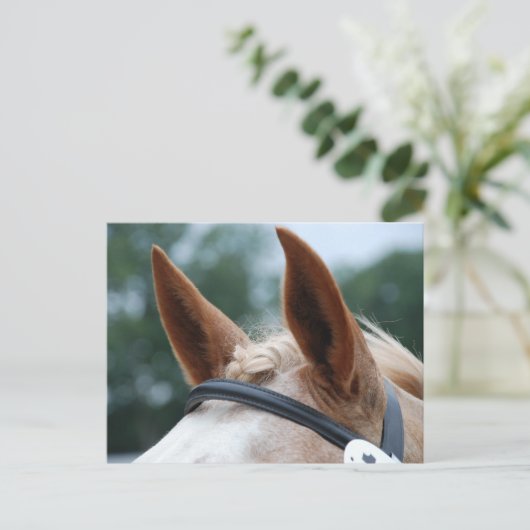 Pferdeohren Postkarte (Stehend Vorderseite)