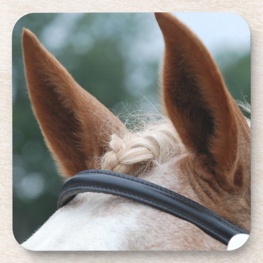 Pferdeohren Untersetzer (Vorderseite)
