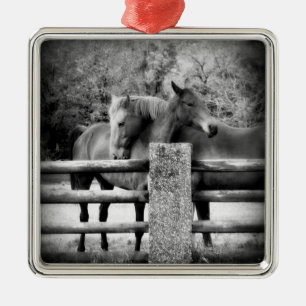 Pferdepaare - zarte Liebe auf dem Bauernhof Silbernes Ornament