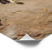 Pferdepackung um 1878 poster (Ecke)