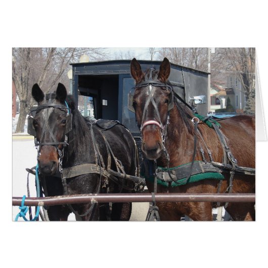 Pferdeparkplatz (Vorderseite (Horizontal))