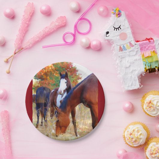 PferdeParty Pappteller (Party)