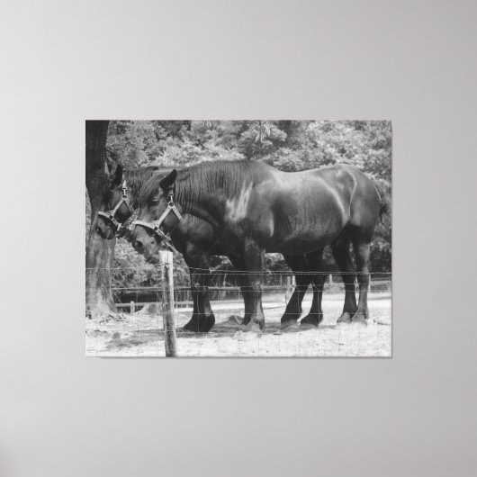 Pferdepferd Leinwanddruck (Vorderseite)