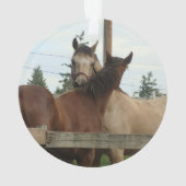 Pferdepflegen Ornament (Rückseite)