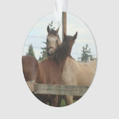 Pferdepflegen Ornament (Vorderseite)