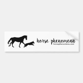 Pferdephänomena-Autoaufkleber Autoaufkleber