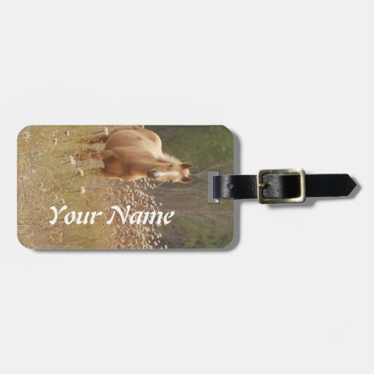 Pferdephotographie Gepäckanhänger (Vorderseite horizontal)