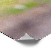 Pferdeplakat Poster (Ecke)