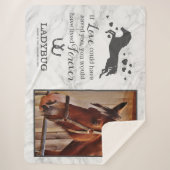 Pferdeplan - Rahmen für Fotos aus Marmor Sherpadecke (Vorderseite)