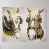 Pferdeplaner Poster (Vorne)