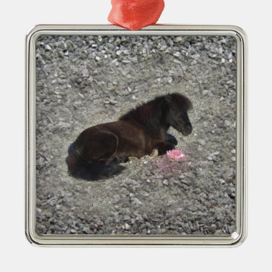 Pferdepony shetty Tierminihorse Ornament Aus Metall (Vorne)