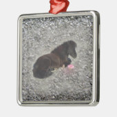 Pferdepony shetty Tierminihorse Ornament Aus Metall (Links)
