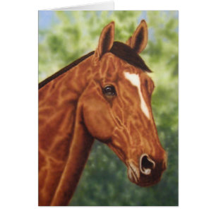 Pferdeportrait