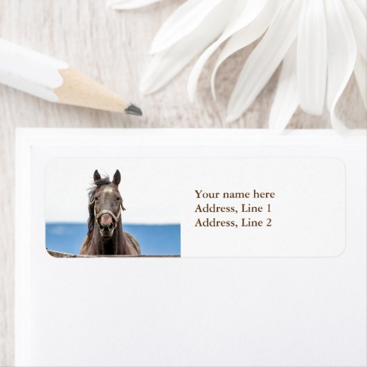 Pferdeportrait (Insitu)