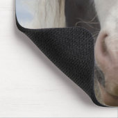 Pferdeportrait Clydesdale Mousepad (Ecke)