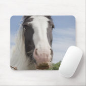 Pferdeportrait Clydesdale Mousepad (Mit Mouse)