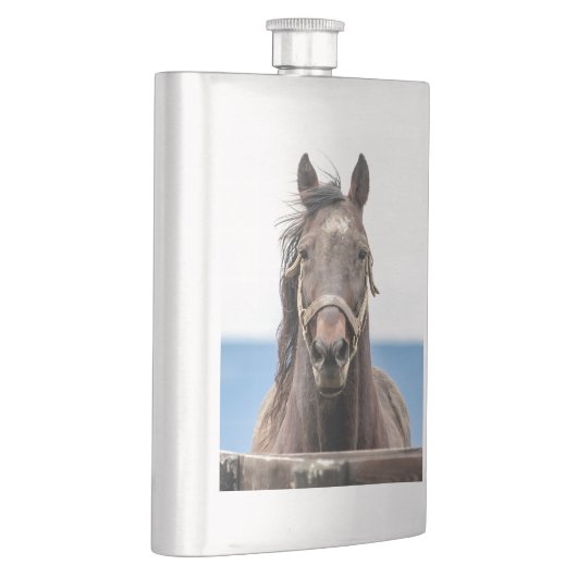 Pferdeportrait Flachmann (Rechts)